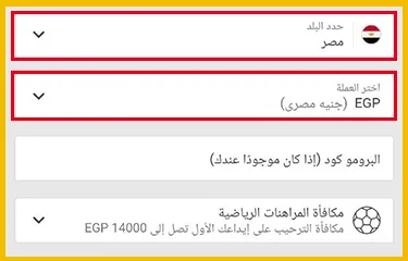 املأ نموذج التسجيل
